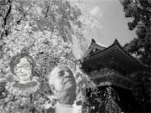 Японская домохозяйка